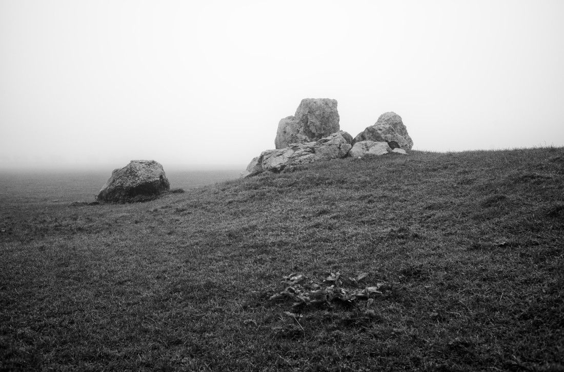 Steven Seidenberg 02